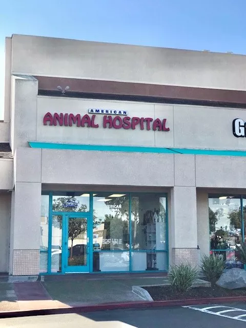 American Animal Hospital, California, San Diego